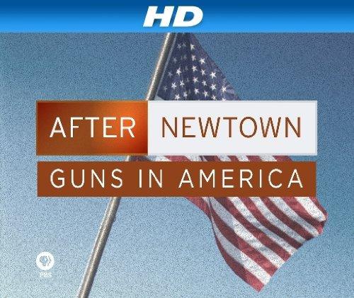 After Newtown: Guns in America